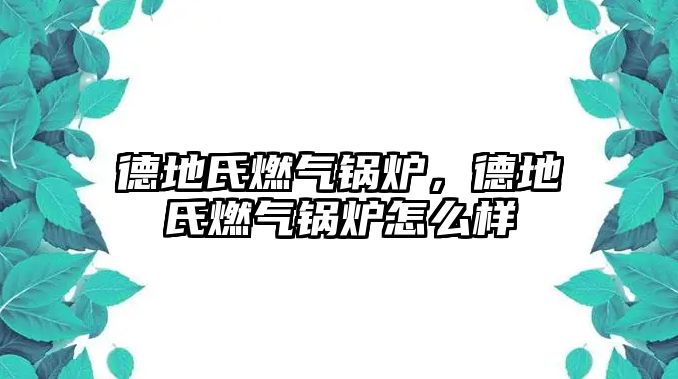 德地氏燃?xì)忮仩t，德地氏燃?xì)忮仩t怎么樣