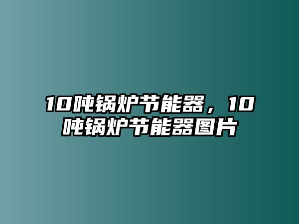 10噸鍋爐節(jié)能器，10噸鍋爐節(jié)能器圖片