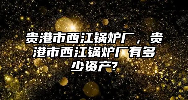 貴港市西江鍋爐廠，貴港市西江鍋爐廠有多少資產(chǎn)?