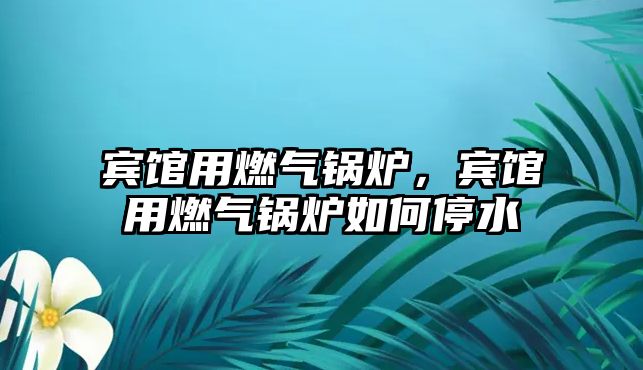 賓館用燃?xì)忮仩t，賓館用燃?xì)忮仩t如何停水