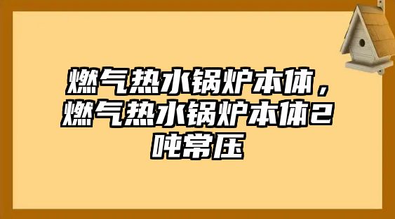 燃?xì)鉄崴仩t本體，燃?xì)鉄崴仩t本體2噸常壓