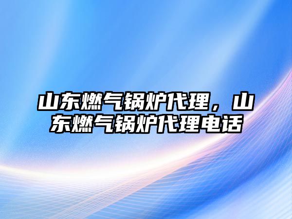 山東燃?xì)忮仩t代理，山東燃?xì)忮仩t代理電話