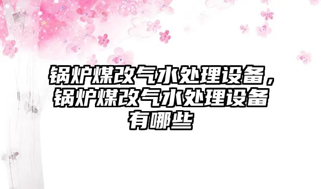 鍋爐煤改氣水處理設(shè)備，鍋爐煤改氣水處理設(shè)備有哪些