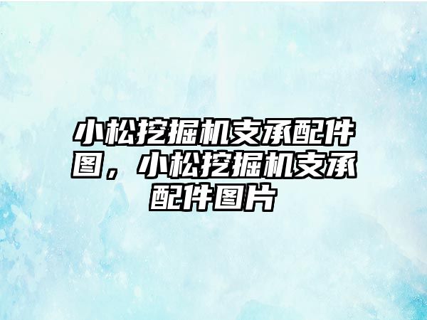 小松挖掘機支承配件圖，小松挖掘機支承配件圖片