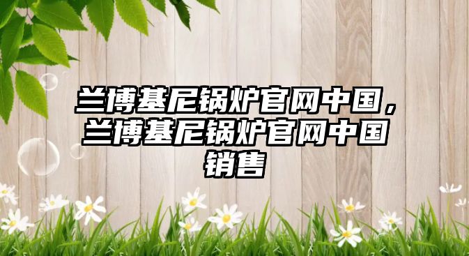 蘭博基尼鍋爐官網(wǎng)中國，蘭博基尼鍋爐官網(wǎng)中國銷售