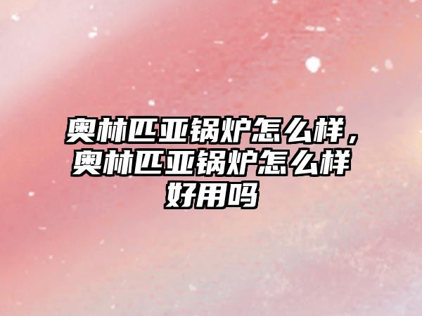 奧林匹亞鍋爐怎么樣，奧林匹亞鍋爐怎么樣好用嗎