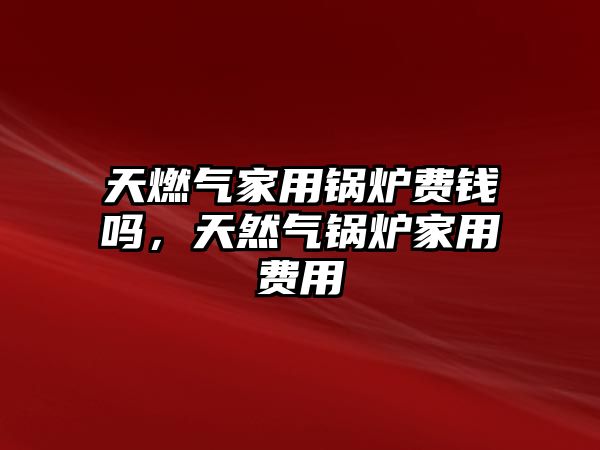 天燃?xì)饧矣缅仩t費(fèi)錢嗎，天然氣鍋爐家用費(fèi)用