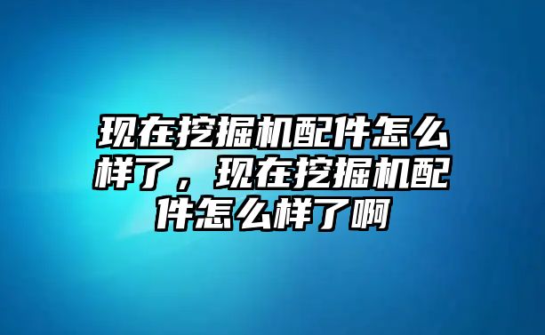 現(xiàn)在挖掘機(jī)配件怎么樣了，現(xiàn)在挖掘機(jī)配件怎么樣了啊