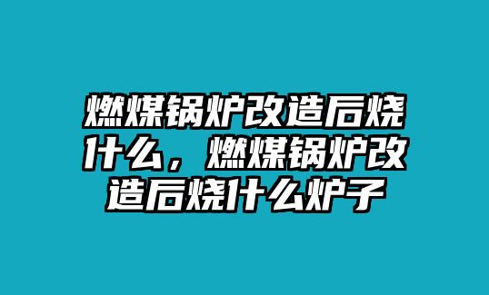 燃煤鍋爐改造后燒什么，燃煤鍋爐改造后燒什么爐子