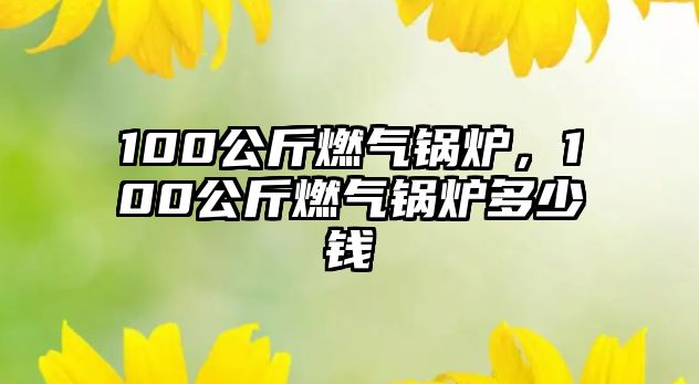 100公斤燃?xì)忮仩t，100公斤燃?xì)忮仩t多少錢(qián)