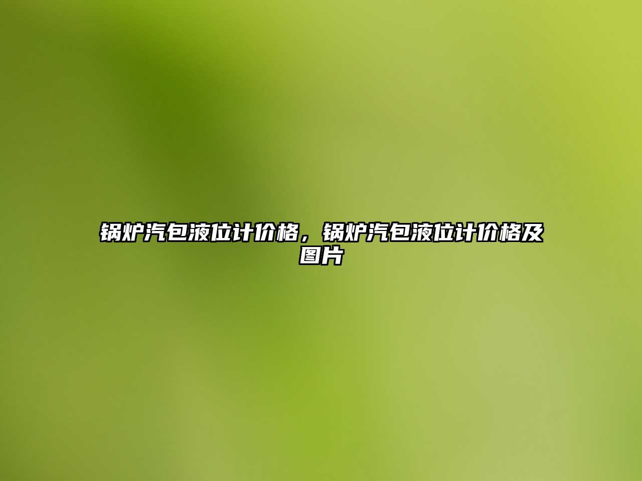 鍋爐汽包液位計價格，鍋爐汽包液位計價格及圖片