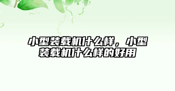 小型裝載機什么樣，小型裝載機什么樣的好用