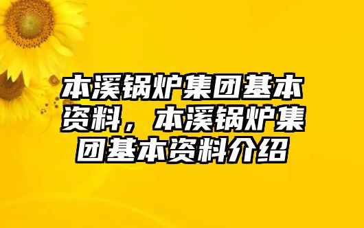 本溪鍋爐集團基本資料，本溪鍋爐集團基本資料介紹