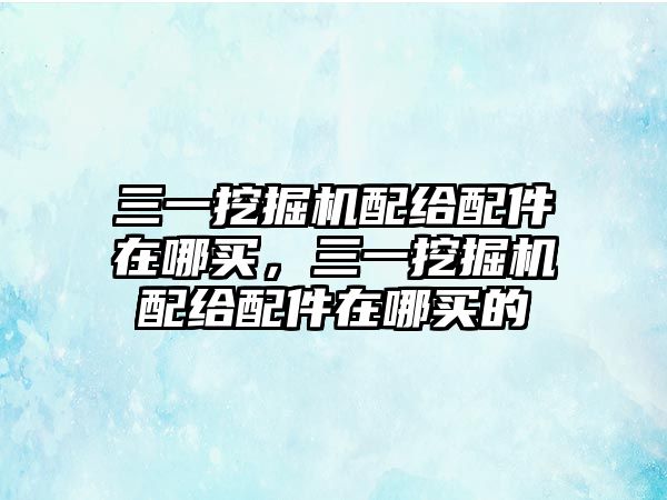 三一挖掘機配給配件在哪買，三一挖掘機配給配件在哪買的