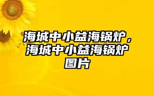 海城中小益海鍋爐，海城中小益海鍋爐圖片