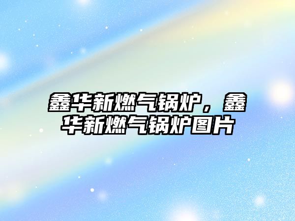 鑫華新燃?xì)忮仩t，鑫華新燃?xì)忮仩t圖片