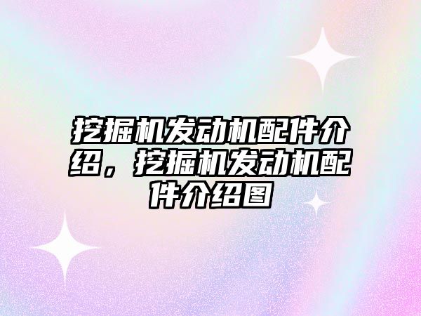 挖掘機發(fā)動機配件介紹，挖掘機發(fā)動機配件介紹圖