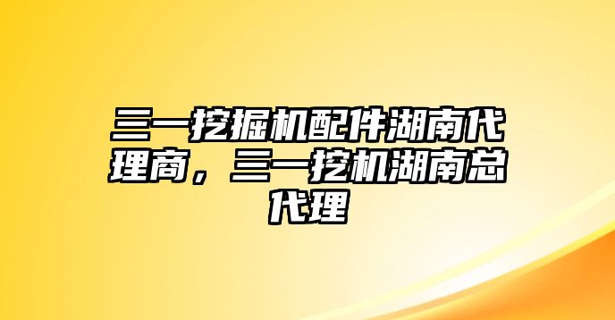 三一挖掘機配件湖南代理商，三一挖機湖南總代理