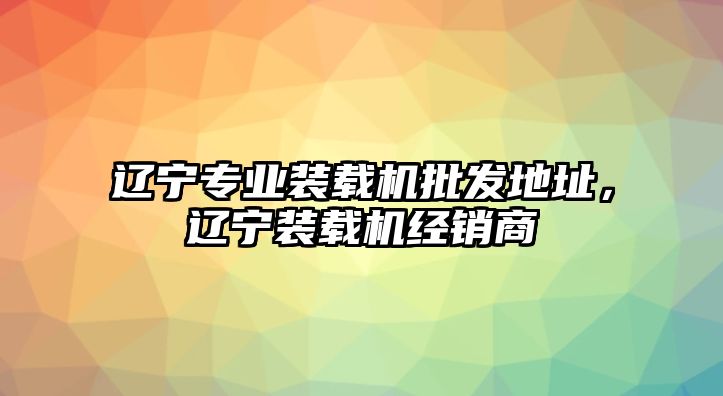 遼寧專業(yè)裝載機(jī)批發(fā)地址，遼寧裝載機(jī)經(jīng)銷商