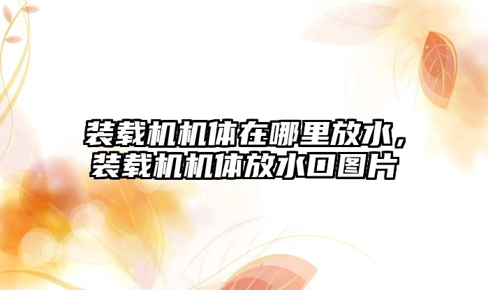 裝載機機體在哪里放水，裝載機機體放水口圖片