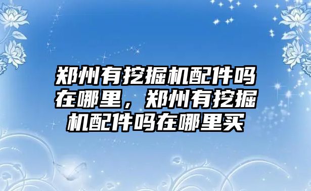 鄭州有挖掘機(jī)配件嗎在哪里，鄭州有挖掘機(jī)配件嗎在哪里買