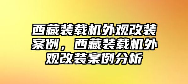 西藏裝載機外觀改裝案例，西藏裝載機外觀改裝案例分析