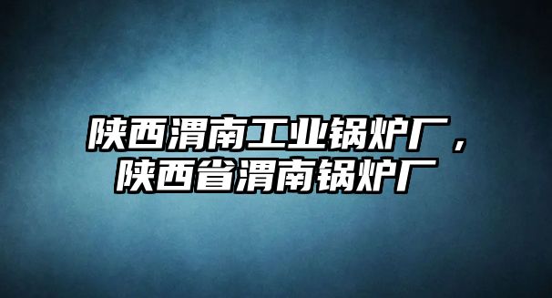 陜西渭南工業(yè)鍋爐廠，陜西省渭南鍋爐廠