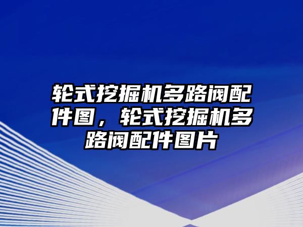 輪式挖掘機多路閥配件圖，輪式挖掘機多路閥配件圖片