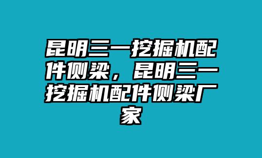 昆明三一挖掘機(jī)配件側(cè)梁，昆明三一挖掘機(jī)配件側(cè)梁廠家