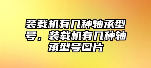 裝載機(jī)有幾種軸承型號(hào)，裝載機(jī)有幾種軸承型號(hào)圖片