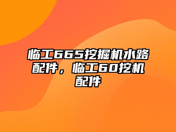 臨工665挖掘機水路配件，臨工60挖機配件