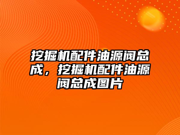 挖掘機配件油源閥總成，挖掘機配件油源閥總成圖片