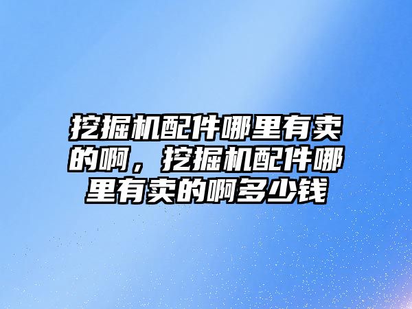 挖掘機配件哪里有賣的啊，挖掘機配件哪里有賣的啊多少錢