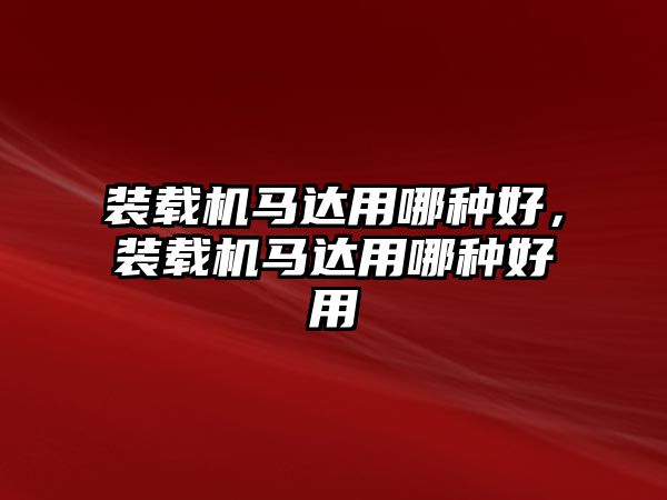 裝載機(jī)馬達(dá)用哪種好，裝載機(jī)馬達(dá)用哪種好用