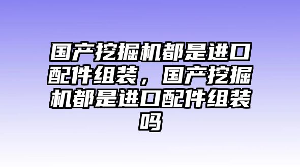 國產(chǎn)挖掘機都是進口配件組裝，國產(chǎn)挖掘機都是進口配件組裝嗎