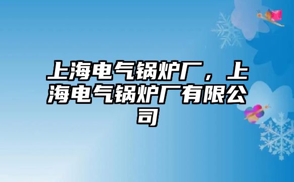 上海電氣鍋爐廠，上海電氣鍋爐廠有限公司