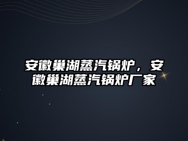 安徽巢湖蒸汽鍋爐，安徽巢湖蒸汽鍋爐廠家