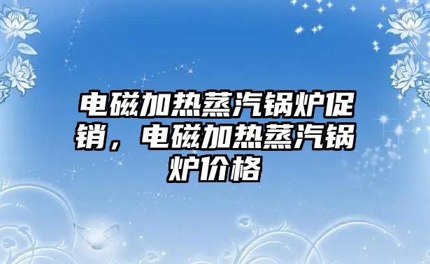 電磁加熱蒸汽鍋爐促銷，電磁加熱蒸汽鍋爐價格