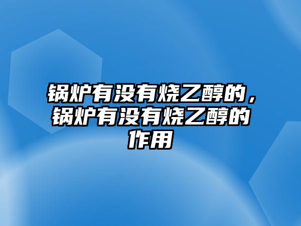 鍋爐有沒有燒乙醇的，鍋爐有沒有燒乙醇的作用