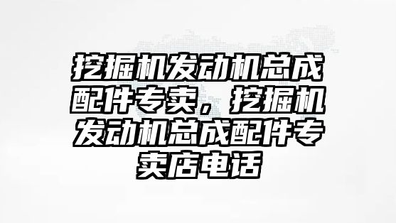 挖掘機發(fā)動機總成配件專賣，挖掘機發(fā)動機總成配件專賣店電話