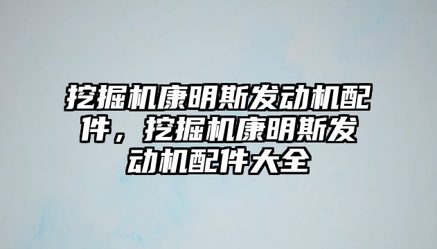 挖掘機康明斯發(fā)動機配件，挖掘機康明斯發(fā)動機配件大全