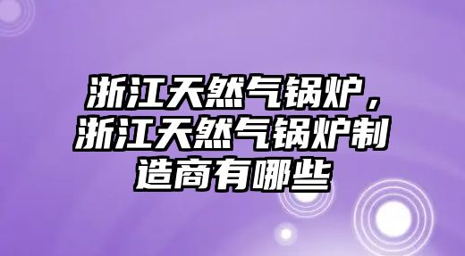 浙江天然氣鍋爐，浙江天然氣鍋爐制造商有哪些