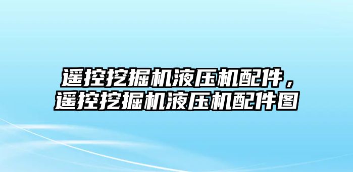 遙控挖掘機(jī)液壓機(jī)配件，遙控挖掘機(jī)液壓機(jī)配件圖