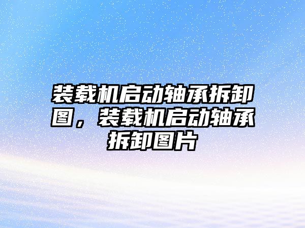 裝載機啟動軸承拆卸圖，裝載機啟動軸承拆卸圖片