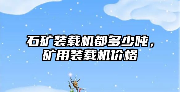 石礦裝載機都多少噸，礦用裝載機價格