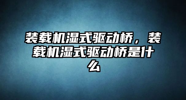 裝載機濕式驅(qū)動橋，裝載機濕式驅(qū)動橋是什么