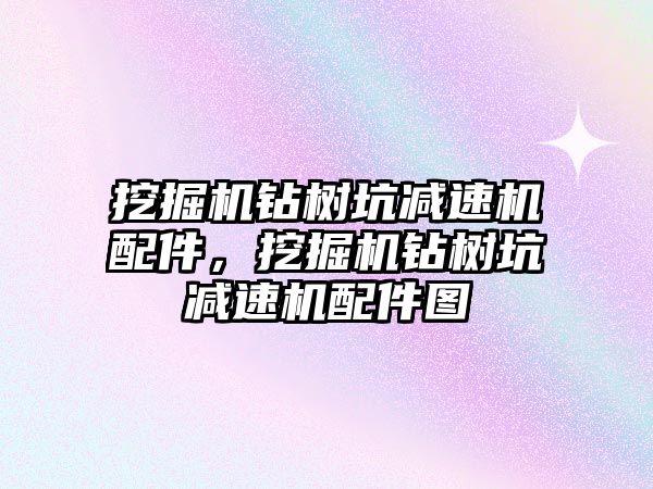 挖掘機鉆樹坑減速機配件，挖掘機鉆樹坑減速機配件圖