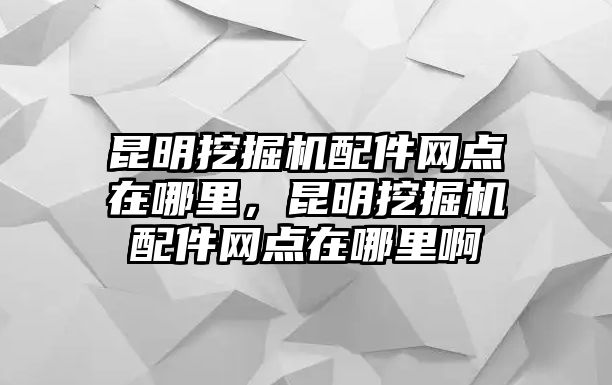 昆明挖掘機配件網(wǎng)點在哪里，昆明挖掘機配件網(wǎng)點在哪里啊