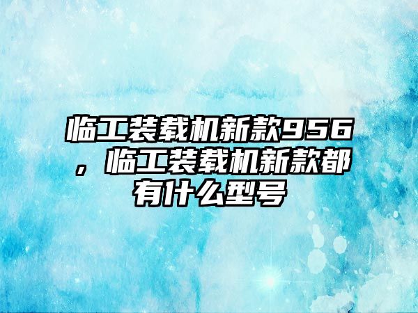 臨工裝載機新款956，臨工裝載機新款都有什么型號