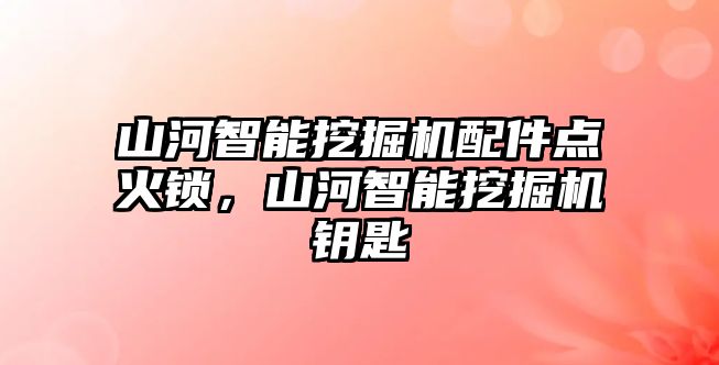 山河智能挖掘機(jī)配件點(diǎn)火鎖，山河智能挖掘機(jī)鑰匙